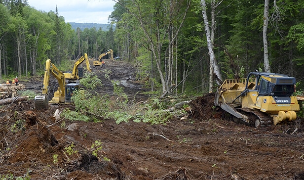 Photo d'une zone de travail en forêt